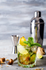 gin tonic cocktail with ginger, cucumber and mint