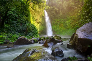 Poster Nung Nung Wasserfall, Bali © Maygutyak