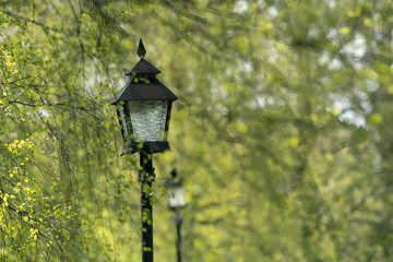 Cemetery lamp 