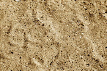 Sand texture background in brown tone.