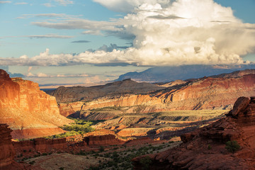 Fototapeta na wymiar Spectacular landscapes of Capitol reef National park in Utah, USA