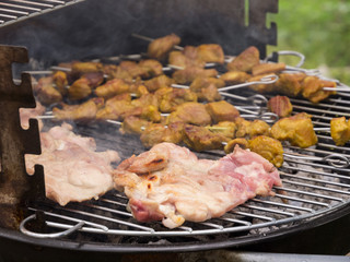 barbecue of chicken and brochettes ok pork