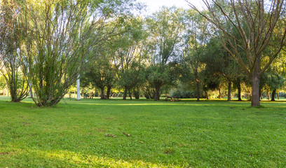 Parque Publico en Verano sin gente