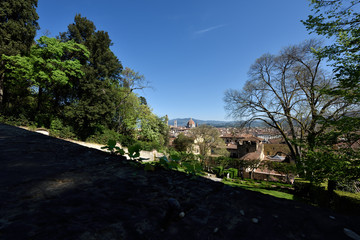 Colors flowers spring from Florence / Lovely Nature