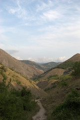 The Crimean steppe (the Surroundings of lake Chokrak)