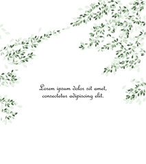 Vector illustration of green leaves. Background with branches and leaves, place for text