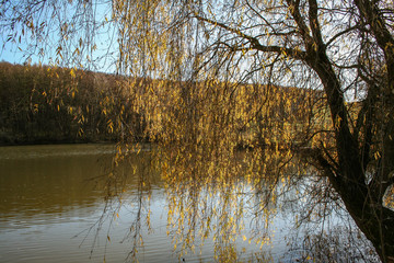Obraz premium Autumn Landscape / Autumn Lake