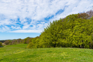 Field and forest on island in Denmark