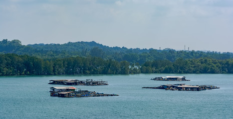 Floating fish farm in Johor Strait - aquaculture farms on the water where people breed fishes and crabs. © Igor Groshev