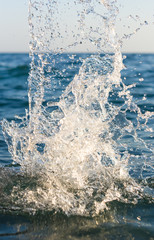 large transparent splashes sea water on a Sunny day