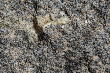 Abstract background. Close-up view of natural rought untreated grey granite texture.