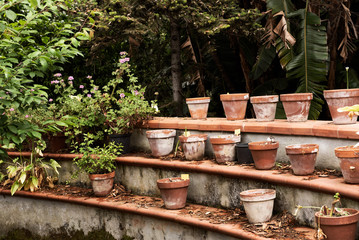 Botanical Garden in Naples is an historical site where are custotited many species of plants that come from every part of world . This is a very beautiful big garden of "Borbonic " origin.