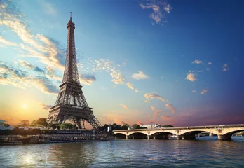 Fotobehang Bridge Iena in Paris © Givaga
