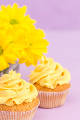 Cupcakes decorated with yellow cream and chrysanthemums on violet pastel background.