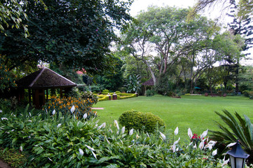 Tropical garden Kenya