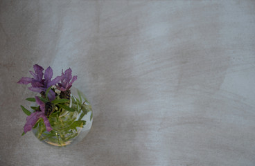 Lavendel in Glasvase- Hintergrund