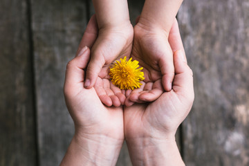 Parent and child hands handing flowers