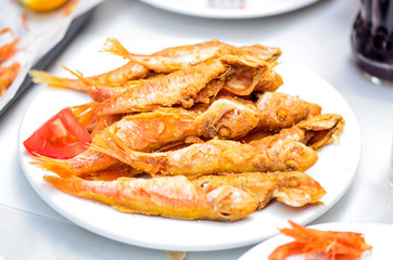 Close up fried red mullus barbatus fish