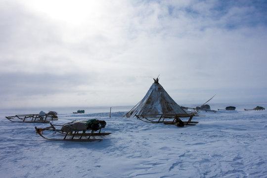 Yamal Billeder – Gennemse 4,542 stockfotos, vektorer og videoer | Adobe
