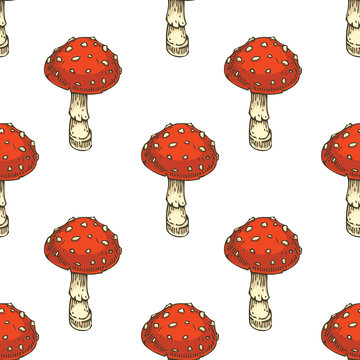 SEamless Pattern. Red Amanita Fly Agaric Mushroom