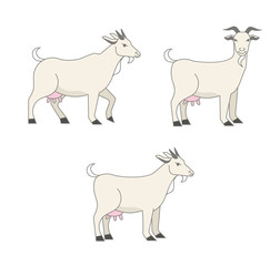 Set of cute goat vector flat illustration isolated on white background.Gentle colors. Farm animal goat cartoon character