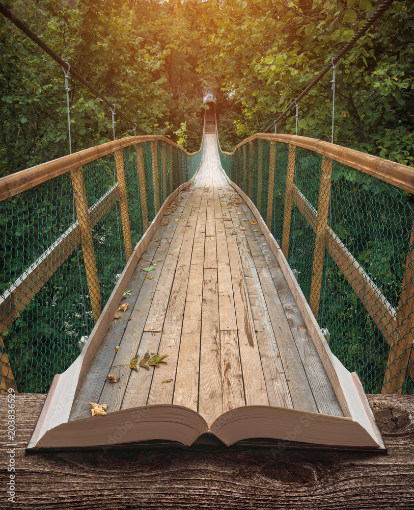 Wall mural Way by the bridge in a forest on the pages of book