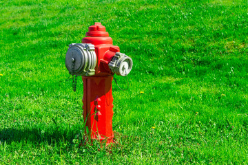 Red fire plug on green grass.