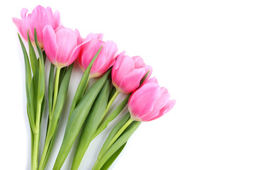 Bouquet of pink tulips isolated on white background