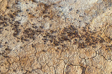 Cracked dry red soil with small stones in Eastern Kazakhstan