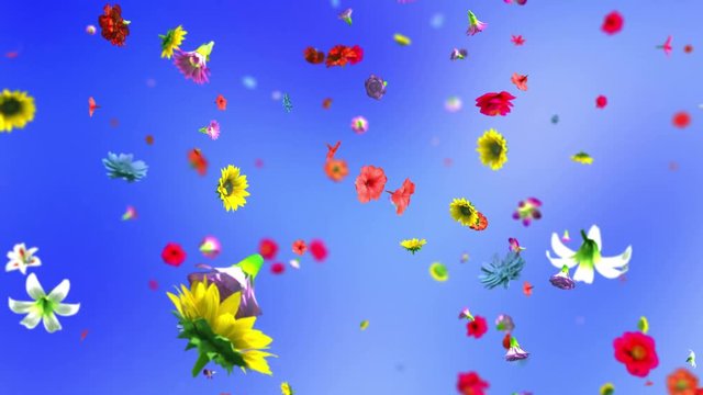 Exploding colorful flowers in 4K