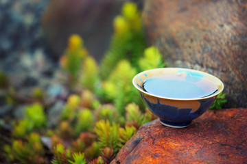 Black Chinese Tea garden