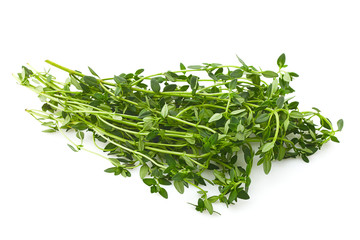 thyme isolated on white background