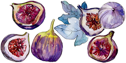 Exotic  violet figs healthy food in a watercolor style isolated. Full name of the fruit: figs . Aquarelle wild fruit for background, texture, wrapper pattern or menu.