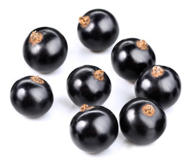 Black currant isolated