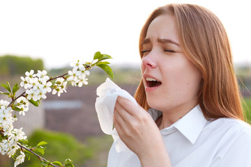 Seasonal allergy. Pretty young female blows nose and sneezes, stands in front of blooming tree,...