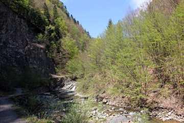 River in the mountains