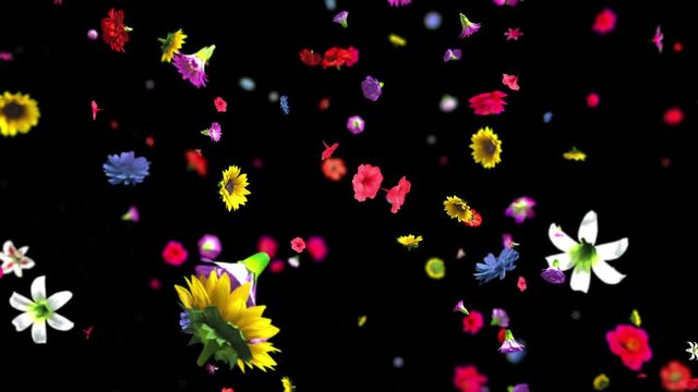 Exploding colorful flowers in 4K