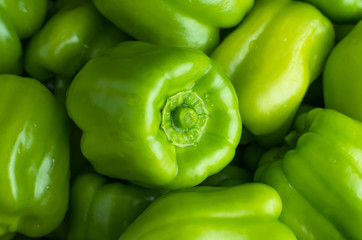 Obraz na płótnie Canvas Background of green Bulgarian sweet peppers