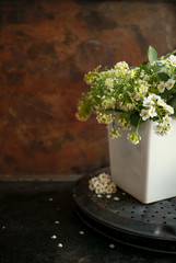Japanese philosophy Wabi Sabi background. White small flowers with falling petals in a white  pot on vintage rusty metal background. selective focus