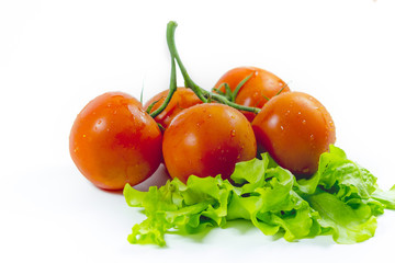 Fresh tomatoes on white background