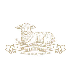Isolated vintage golden and royal emblem of farm animal. Fresh and tasty lamb meat. Butchery products market. Hand made illustration and lettering. Concept template for branding