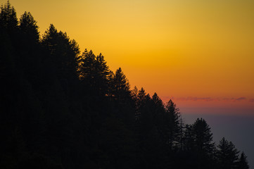 Amazing sunset behind a mountain with the silhouette of trees, Dharamsala, India.