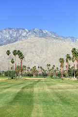 Fototapeta na wymiar Green manicured grass of golf course and palm trees with blue skies with mountain background