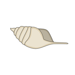 Seashell vector sign isolated. Sea shell icon in flat style. Symbol of beach, summer, sea. Vector illustration.