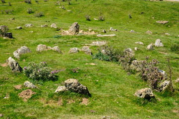 Restos prehistóricos, megalitismo, Valle de Aézcoa, Navarra, España  © luisfpizarro