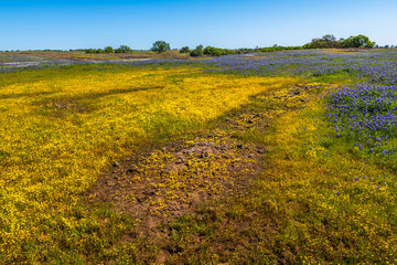 North Table Mountain