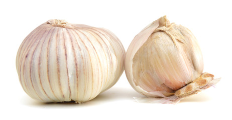 Garlic isolated on white