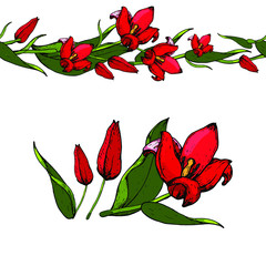 The spring tulips for future design.