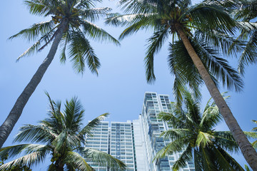 Fototapeta na wymiar Coconut palm trees, Hotel, beautiful tropical background, Vacation holiday concept.