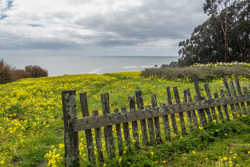 Obraz premium Fort Ross